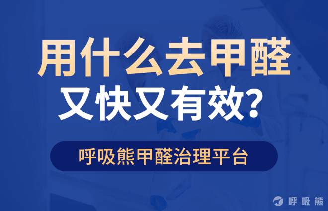 用什么去甲醛又快又有效？-20220610