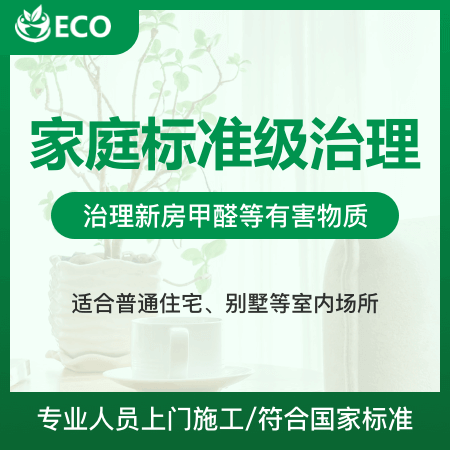 ECO（深圳店）——【家庭标准级治理】室内除甲醛去异味