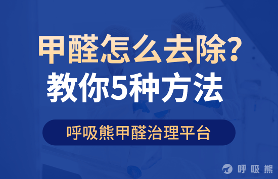 甲醛怎么去除？5种方法，教你快速除甲醛！-20221104