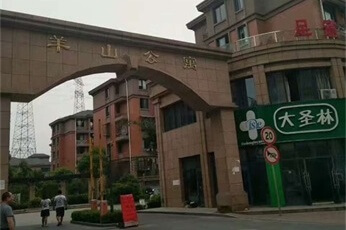 绿冠环保（杭州店）浙江杭州山羊公寓除甲醛案例