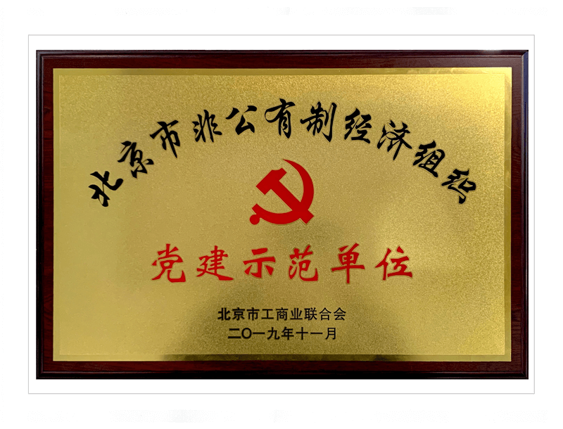 北京市非公有制经济组织党建示范单位证书