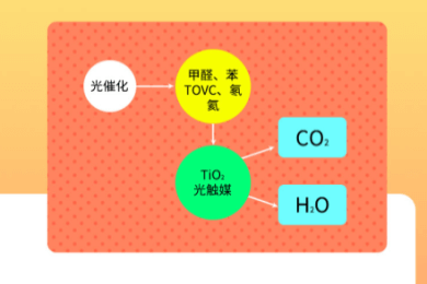 装修后怎样快速除甲醛？-20230421-05