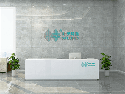 上海专业除甲醛公司排名-20230425-叶子环保