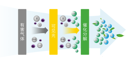 北京专业除甲醛公司有哪些？-20230728-光触媒