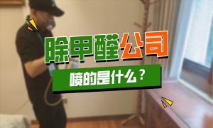 除甲醛公司喷的是什么？