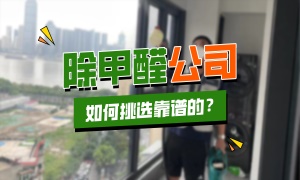 除甲醛公司怎样的才算靠谱？