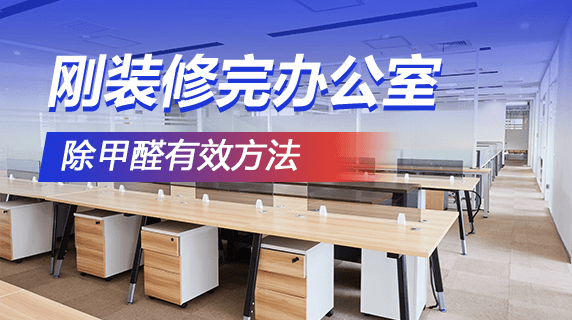 办公室刚装修完怎么去除甲醛?