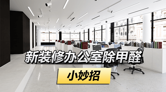新装修的办公室怎么除甲醛？