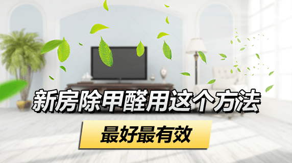 新房除甲醛哪种方法最好最有效?