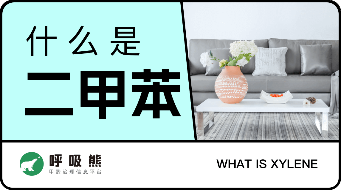 什么是二甲苯