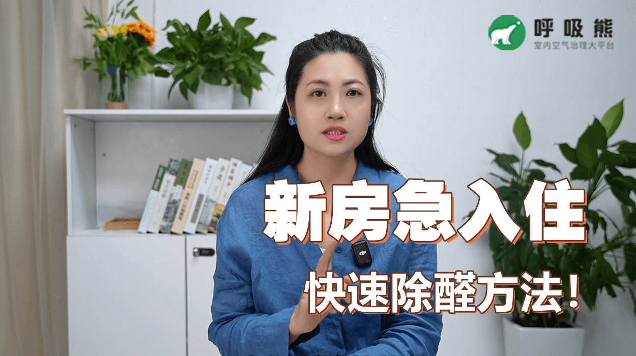 急住新房如何快速去甲醛？
