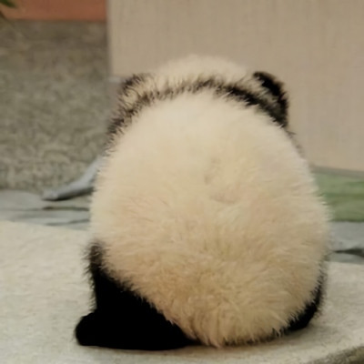 我就一团子