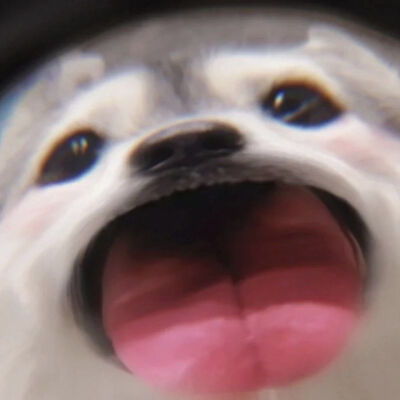 哇偶