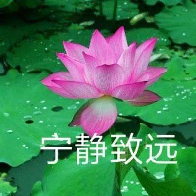 我想开了