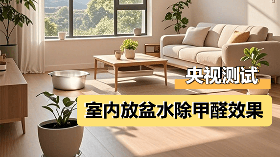 央视测试：室内放盆水是否能去除甲醛？