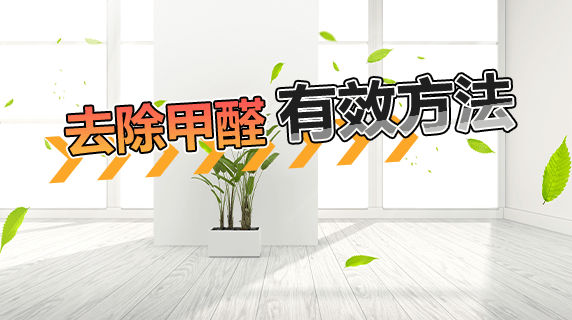 如何去除甲醛?