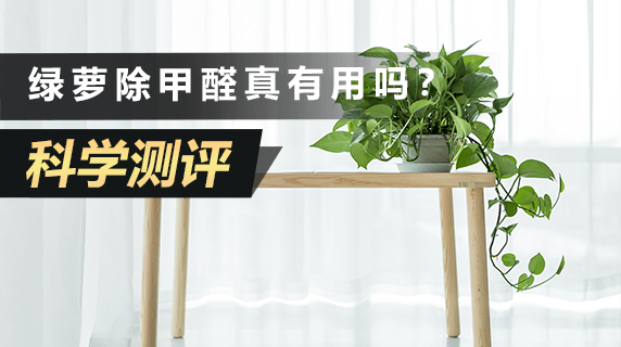 科学测评：绿萝除甲醛，到底有没有用？
