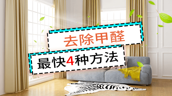除甲醛最快的4种方法