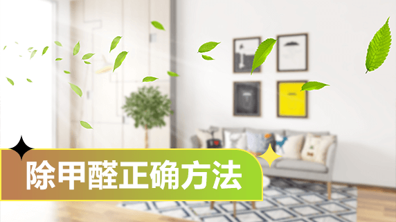甲醛去除的正确方法