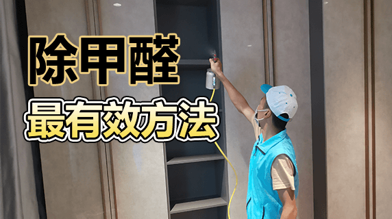 除甲醛最有效方法