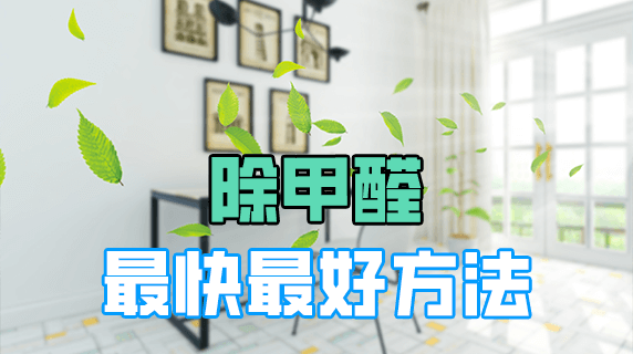 除甲醛最好最快的方法