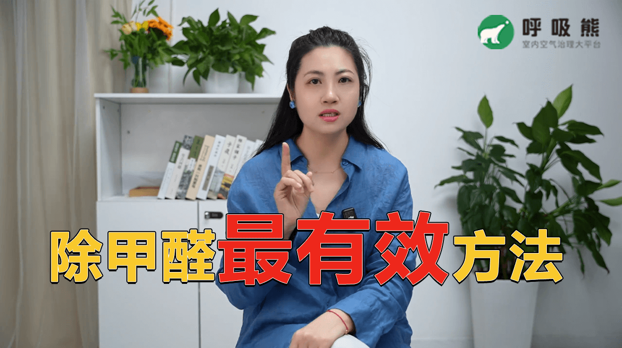 除甲醛最有效方法