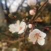 双桅帆船