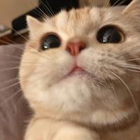  草木生生