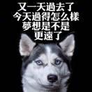 知不知