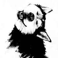ZEGBUL​
