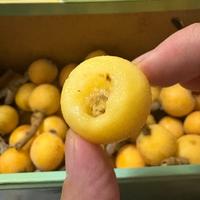 耶耶耶