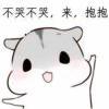 喵喵竹qwq
