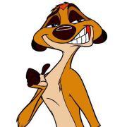 HakunaMatata