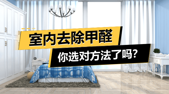 室内去除甲醛,你选对方法了吗?