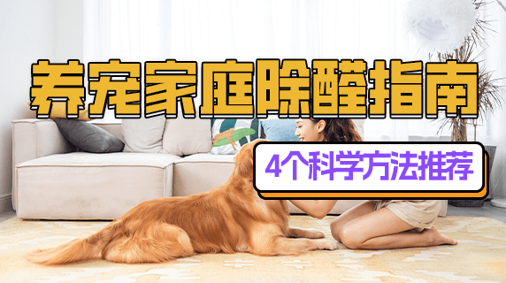 养宠家庭除醛指南：4个科学方法推荐