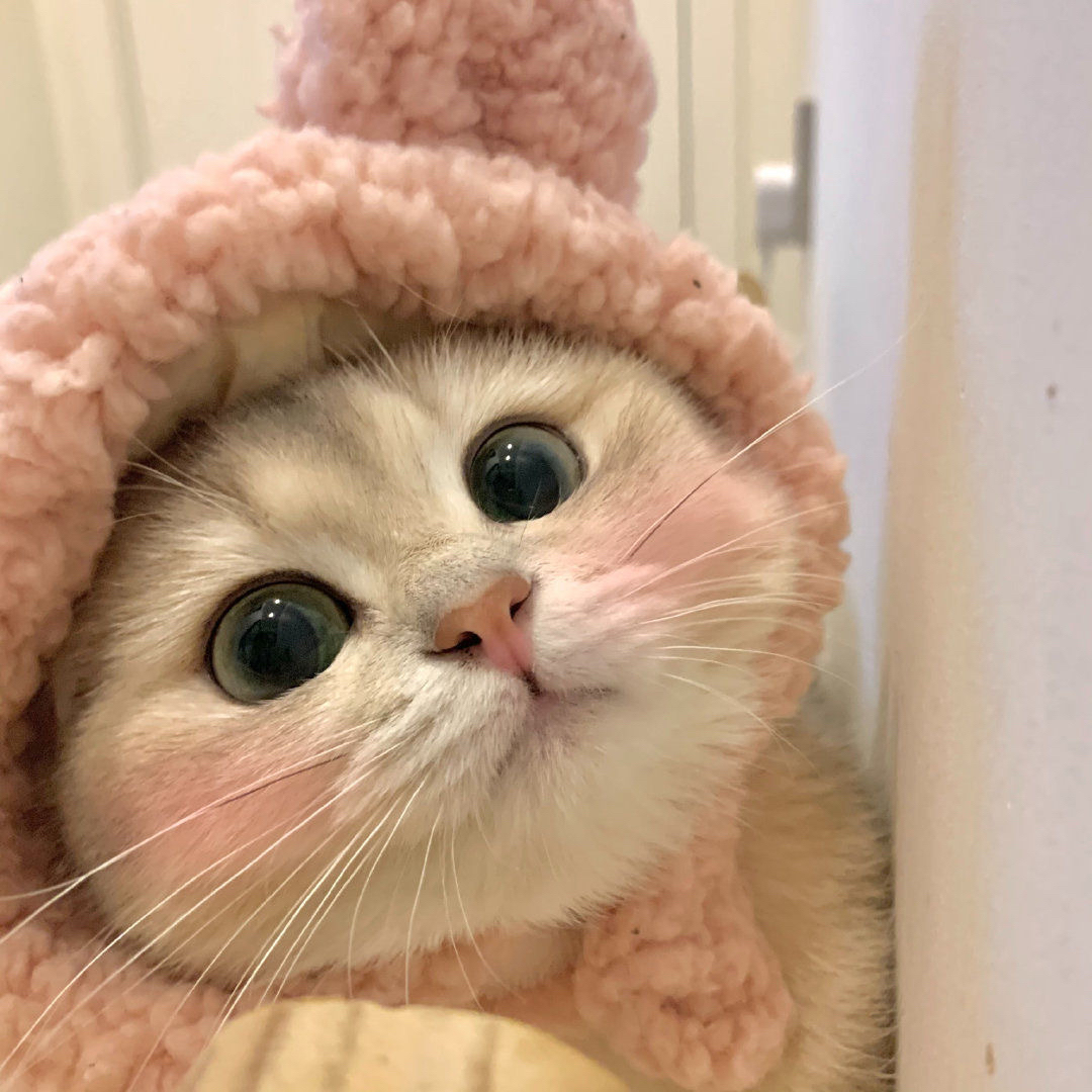 惊蛰