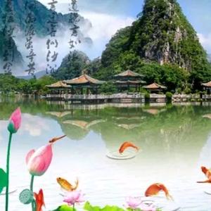 逍遥看天下