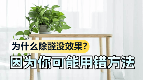 为什么你除甲醛没效果？因为你可能一直在用错误方法