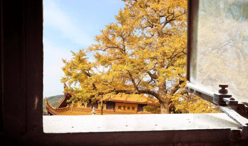 秋天除甲醛，这几个方法又快又好-图1