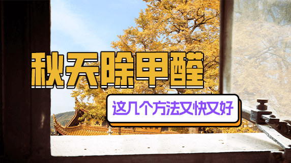 秋天除甲醛,这几个方法又快又好
