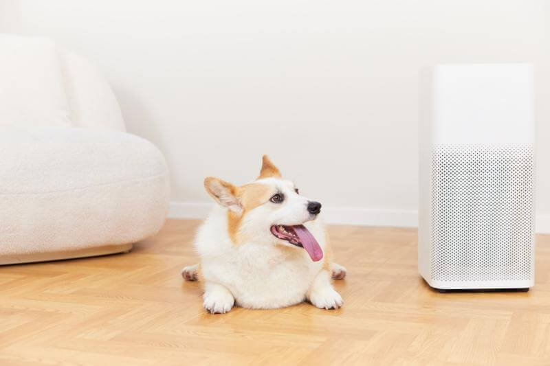 室内真的完全无法避免甲醛吗？-图4