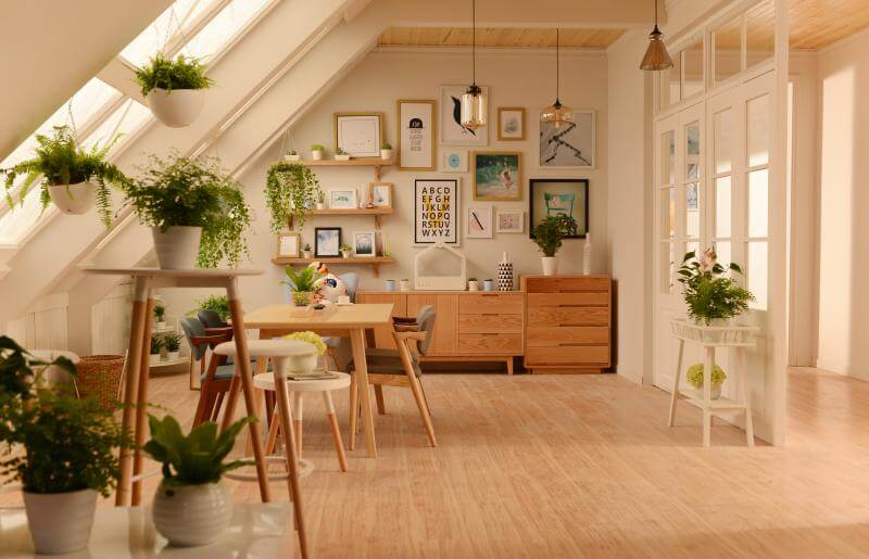 新衣柜味道刺鼻？教你如何快速除甲醛-图4