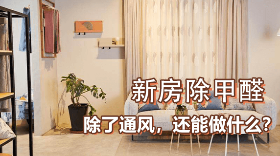 新房除甲醛:除了通风,还能做什么?