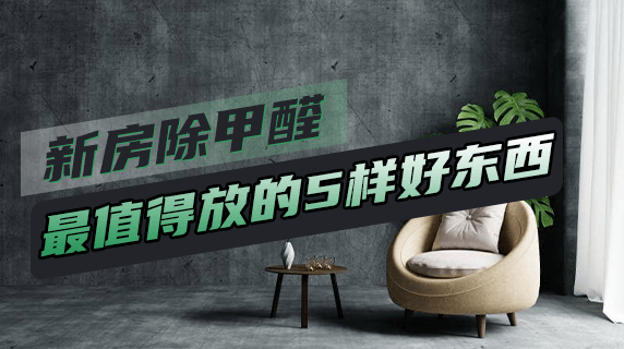 亲测有效!新房除甲醛最值得放的5样好东西