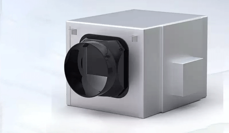 亲测有效！新房除甲醛最值得放的5样好东西-图4