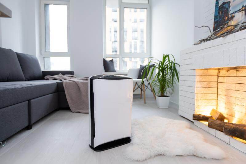 活性炭、绿萝、空气净化器…除甲醛到底谁最强?-图4