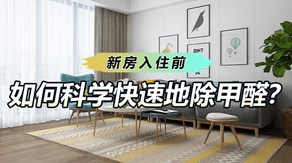 新房入住前,如何科学快速地除甲醛?
