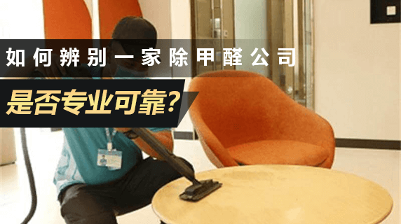 如何辨别一家除甲醛公司是否专业可靠？