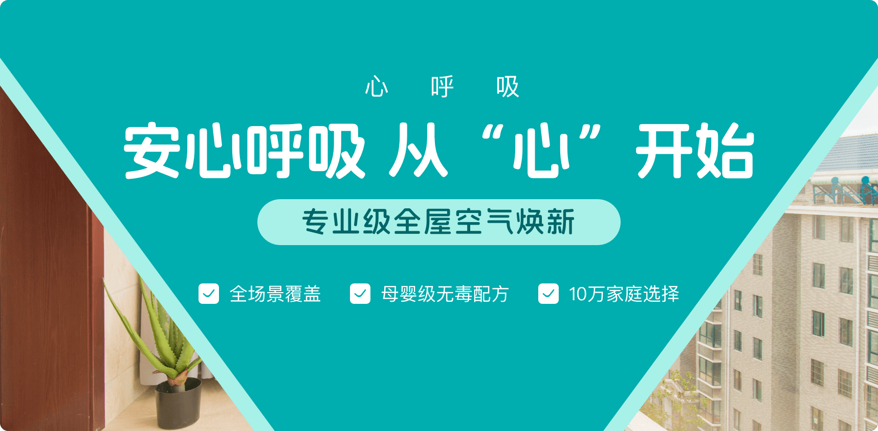 心呼吸除甲醛