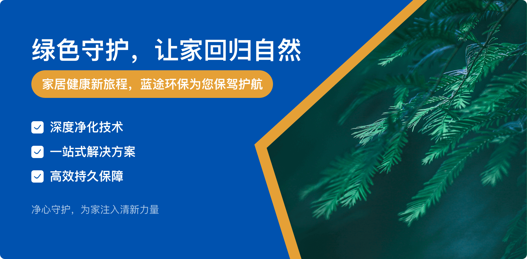 蓝途环保除甲醛